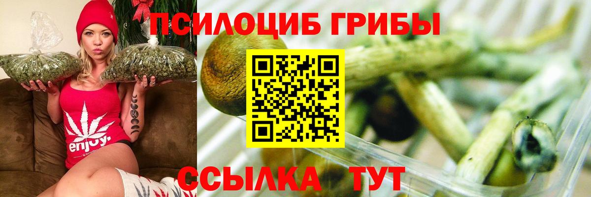 Галлюциногенные грибы Psilocybine cubensis  Вход с VPN  Галлюциногенные грибы GOLDEN TEACHER  Заводоуковск 