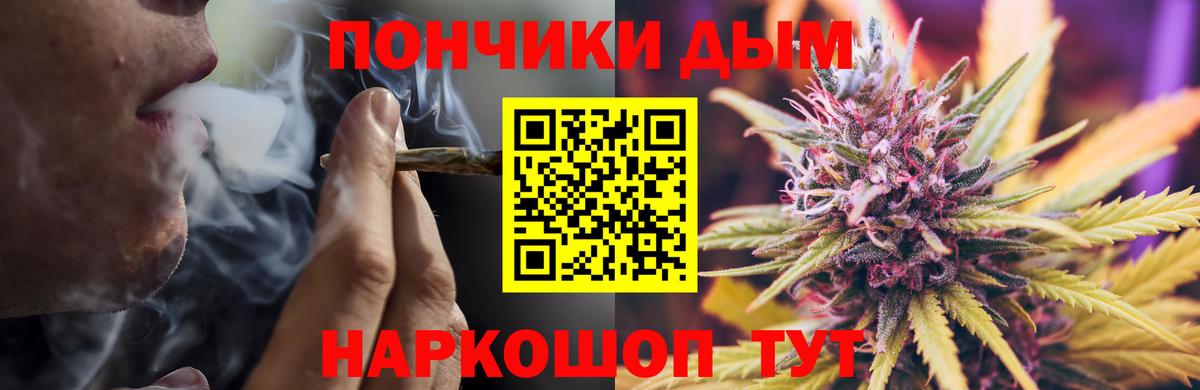 Бошки марихуана AK-47  Вход с VPN  Марихуана семена  Заводоуковск  Канабис THC 21% 